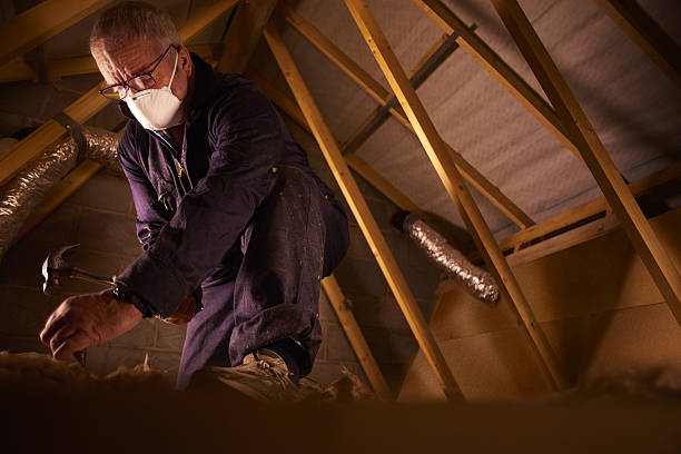 Best Cellulose Insulation in West Brattleboro, VT